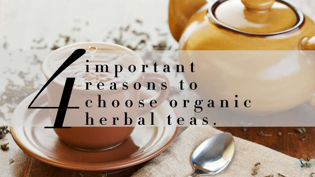 4 Important Reasons To Choose Organic Herbal Teas.