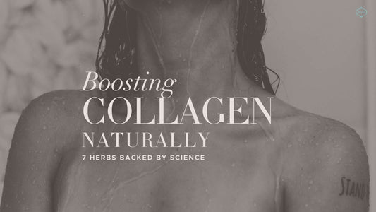 Boosting Collagen Production Naturally: 7 Herbs Backed by Science