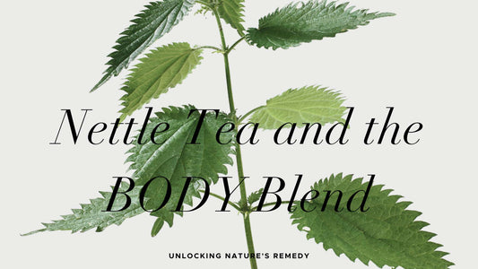 Unlocking Nature’s Remedy: Nettle Tea and the BODY Blend