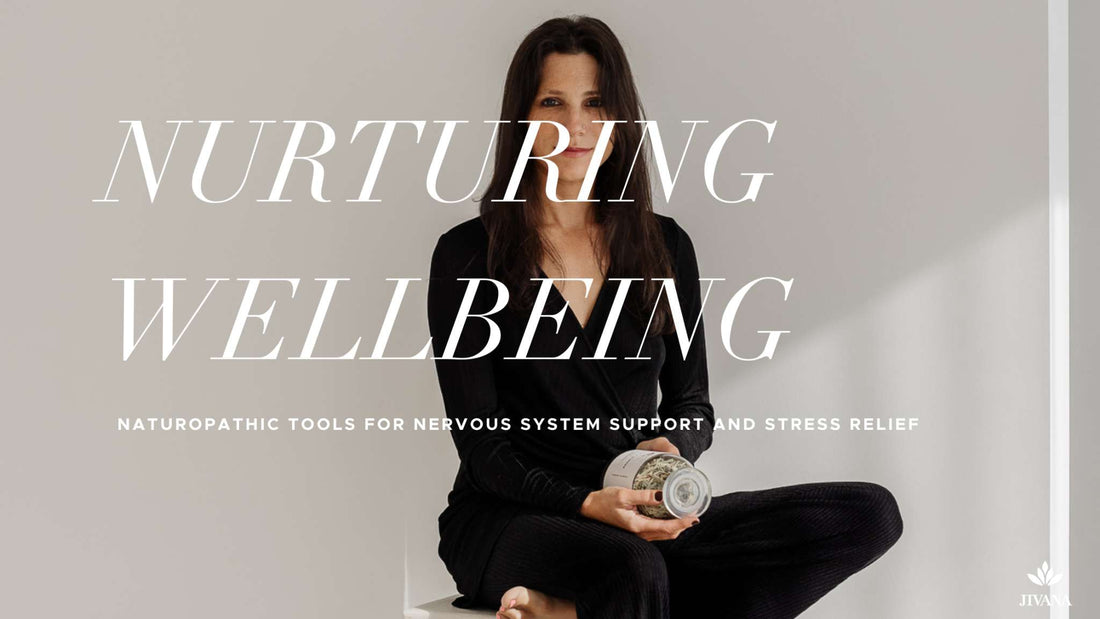 Nurturing Well-Being: Naturopathic Tools for Nervous System Support and Stress Relief