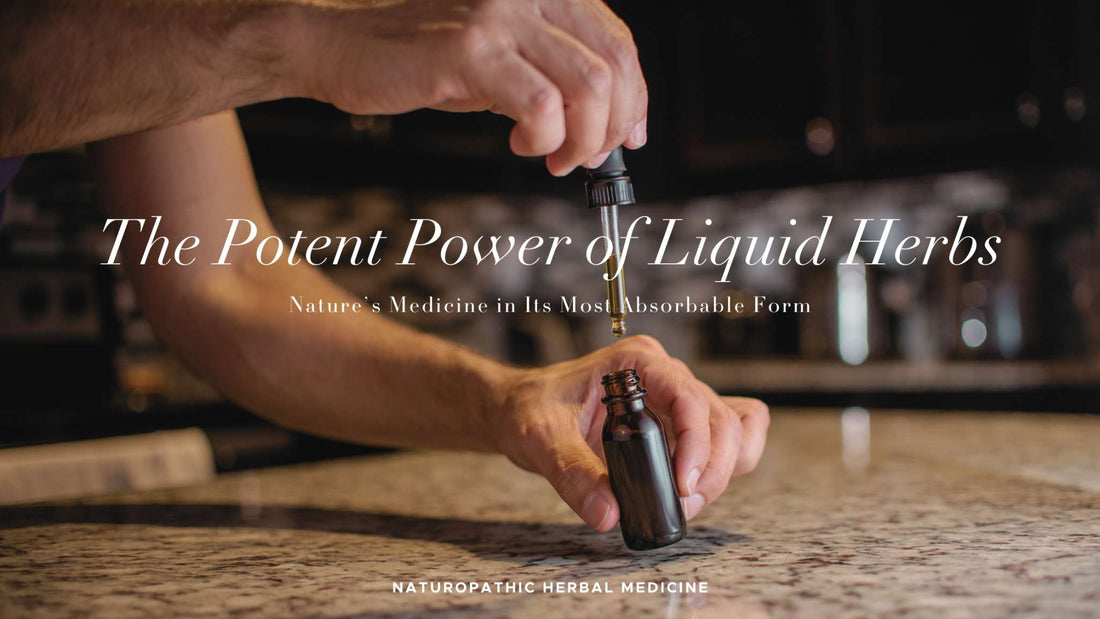 The Potent Power of Liquid Herbs: Nature’s Medicine in Its Most Absorbable Form