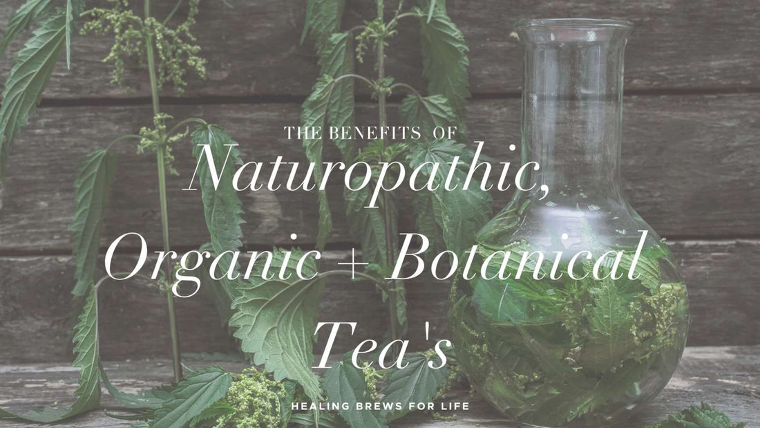 The Benefits of Naturopathic Organic Botanical Tea’s