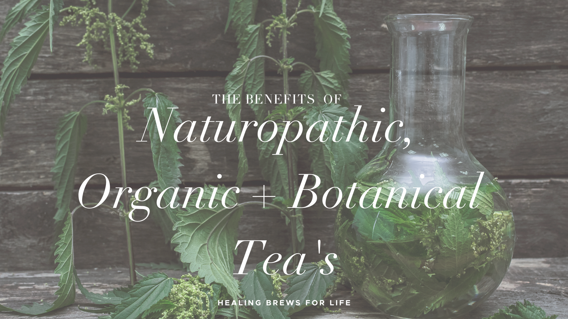 The benefits of naturopathic botanical organic teas